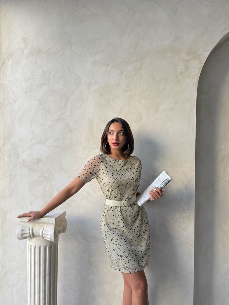 Stone Black Belted Short Sleeve Dress
