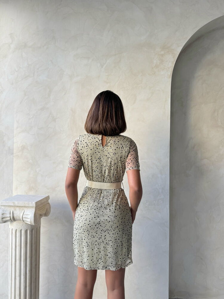 Stone Black Belted Short Sleeve Dress