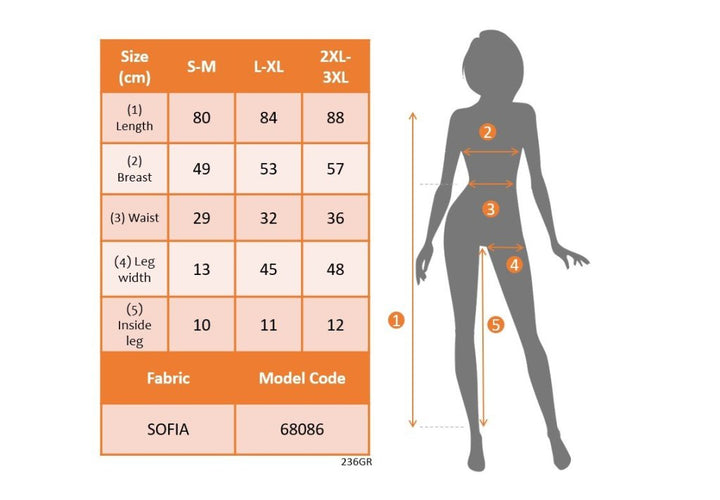 Blue Fit & Flare Mini Dress with Floral Ruffle Sleeves